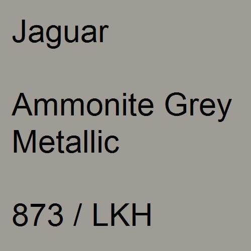 Jaguar, Ammonite Grey Metallic, 873 / LKH.